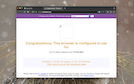 Extension Screenshot