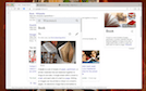 Extension Screenshot