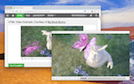 Extension Screenshot