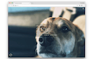 Extension Screenshot